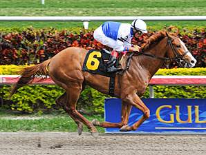 Shackleford Passes Test at Gulfstream Shackleford Passes Test at Gulfstream