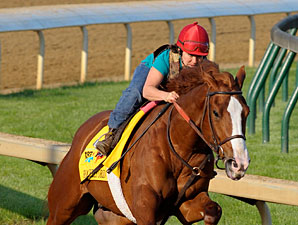 Shackleford Impresses in Kentucky Derby Work Shackleford Impresses in Kentucky Derby Work