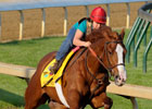 Shackleford Impresses in Kentucky Derby Work