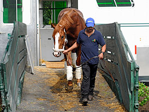 Shackleford Arrives at Belmont Park Shackleford Arrives at Belmont Park