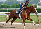 Busy Weekend Planned for Belmont Contenders Busy Weekend Planned for Belmont Contenders