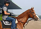 Derby, Preakness Winners Still Going Strong  