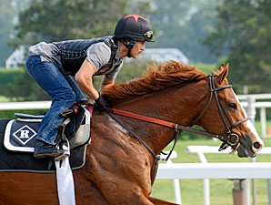 Haskell Draws Eight; Shackleford Favored