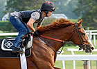 Haskell Draws Eight; Shackleford Favored Haskell Draws Eight; Shackleford Favored