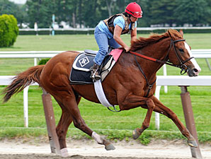 Haskell Should Impact 3YO Championship Haskell Should Impact 3YO Championship