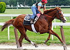 Haskell Should Impact 3YO Championship Haskell Should Impact 3YO Championship