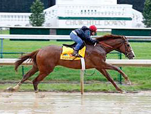 Shackleford Works Well; Romans Hopes to Enter Shackleford Works Well; Romans Hopes to Enter
