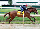 Shackleford, Twinspired Move Into Top 20