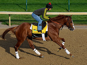 Shackleford's Preakness Puts Forestry Back On Shackleford's Preakness Puts Forestry Back On