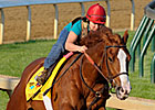 Haskin's Derby Report: Shack Attack Haskin's Derby Report: Shack Attack
