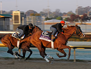 Romans: Shackleford, Dullahan Ready for BC Romans: Shackleford, Dullahan Ready for BC