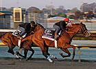 Romans: Shackleford, Dullahan Ready for BC
