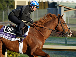 Preakness Winner Shackleford Going for Carter Preakness Winner Shackleford Going for Carter