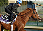 Preakness Winner Shackleford Going for Carter Preakness Winner Shackleford Going for Carter