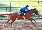 Dullahan, Shackleford Drill for Romans