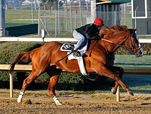 Shackleford Aims to Go Out On Top in Clark Shackleford Aims to Go Out On Top in Clark