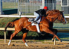 Shackleford Works, Still Clark or Cigar Mile