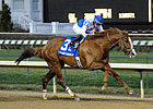 Shackleford Makes Exit With a Bang in Clark Shackleford Makes Exit With a Bang in Clark