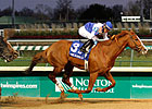 Shackleford's Clark Win Tops Churchill Meet Shackleford's Clark Win Tops Churchill Meet