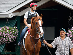 Shackleford Arrives at Saratoga Shackleford Arrives at Saratoga