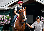 Shackleford Arrives at Saratoga Shackleford Arrives at Saratoga