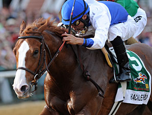Shackleford Learned About Racing in S.C. Shackleford Learned About Racing in S.C.