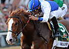 Shackleford Learned About Racing in S.C. Shackleford Learned About Racing in S.C.