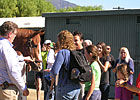 Shackleford Greets His Fans at Santa Anita
