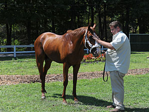 Romans a First-Time Saratoga Sale Consignor Romans a First-Time Saratoga Sale Consignor