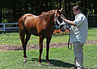 Romans a First-Time Saratoga Sale Consignor Romans a First-Time Saratoga Sale Consignor