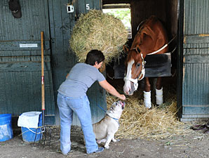 Shackleford Pointed to Kelso, Breeders' Cup Shackleford Pointed to Kelso, Breeders' Cup