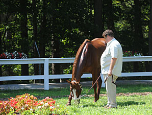 Romans Ready to Prey on New York Stakes Romans Ready to Prey on New York Stakes