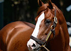 Shackleford's Fee Set at $20,000 