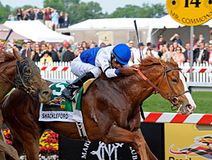 Shackleford Tames Animal Kingdom in Preakness Shackleford Tames Animal Kingdom in Preakness