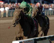 Grade I Winner Shadow Cast Injured and Retired Grade I Winner Shadow Cast Injured and Retired