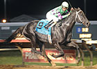 Shadowbdancing Makes Right Move in Cornhusker Shadowbdancing Makes Right Move in Cornhusker