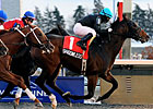 Shadowless Ambushes Kennedy Road Foes Shadowless Ambushes Kennedy Road Foes