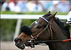 Nicely Matched Field Set for Princess Rooney