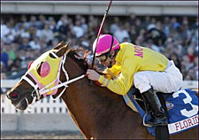 Shake You Down Gets His 'Reward' in Padua Stables Sprint Shake You Down Gets His 'Reward' in Padua Stables Sprint