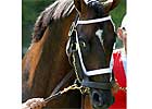 Intrigue Abounds in Woodbine Mile Intrigue Abounds in Woodbine Mile