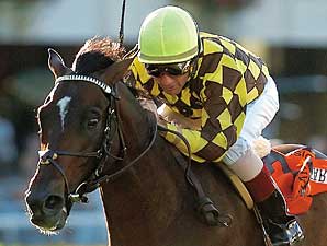 Shakespeare's Stud Fee Lowered to $10K Shakespeare's Stud Fee Lowered to $10K