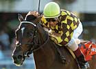Shakespeare's Stud Fee Lowered to $10K