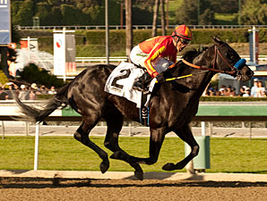 San Vicente: Shakin It Up Clears First Hurdle San Vicente: Shakin It Up Clears First Hurdle