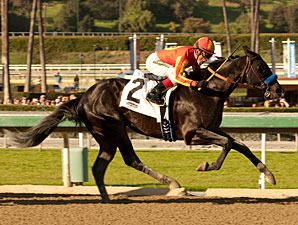 Shakin It Up Stretches Out for Sunland Derby Shakin It Up Stretches Out for Sunland Derby