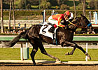 Shakin It Up Stretches Out for Sunland Derby Shakin It Up Stretches Out for Sunland Derby