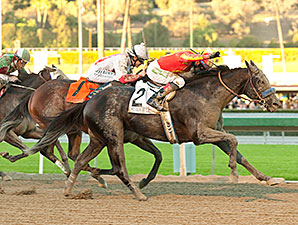 Shakin It Up Shoots to 17-1 Malibu Stunner Shakin It Up Shoots to 17-1 Malibu Stunner