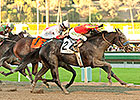 Shakin It Up Shoots to 17-1 Malibu Stunner Shakin It Up Shoots to 17-1 Malibu Stunner