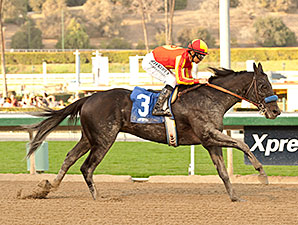Shakin It Up Hands Baffert a Strub Double Shakin It Up Hands Baffert a Strub Double