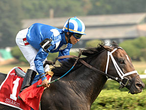 Shakis Euthanized After Fracturing Leg Shakis Euthanized After Fracturing Leg