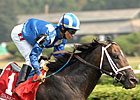 Shakis Euthanized After Fracturing Leg